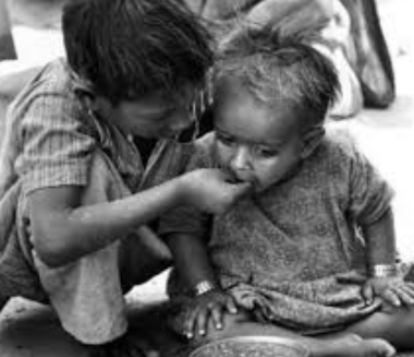 Shelter Services